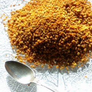 Bee Honey Pollen