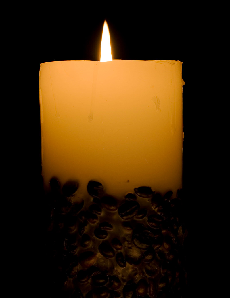 beeswax and DIY candle kits